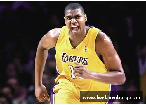 jbo竞博官网NBA邦加：篮球艺术的极致探索 - 副本